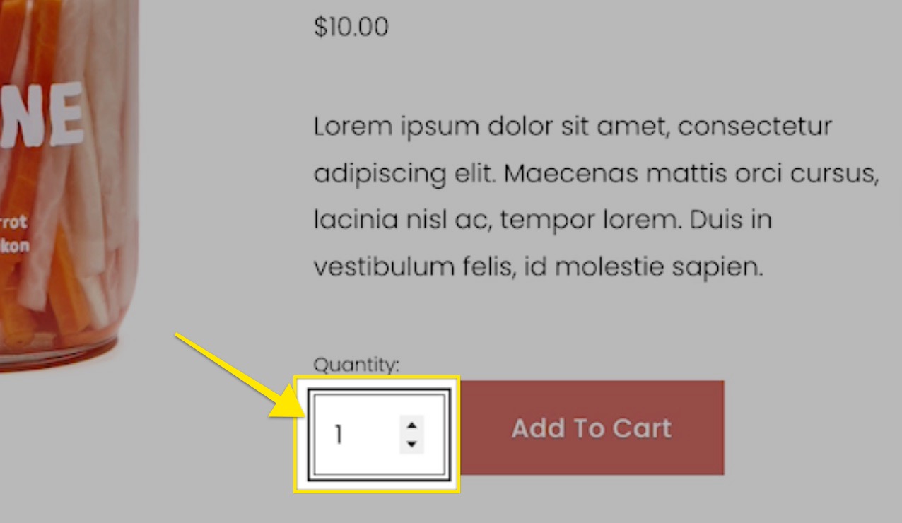 pull focus squarespace.jpg