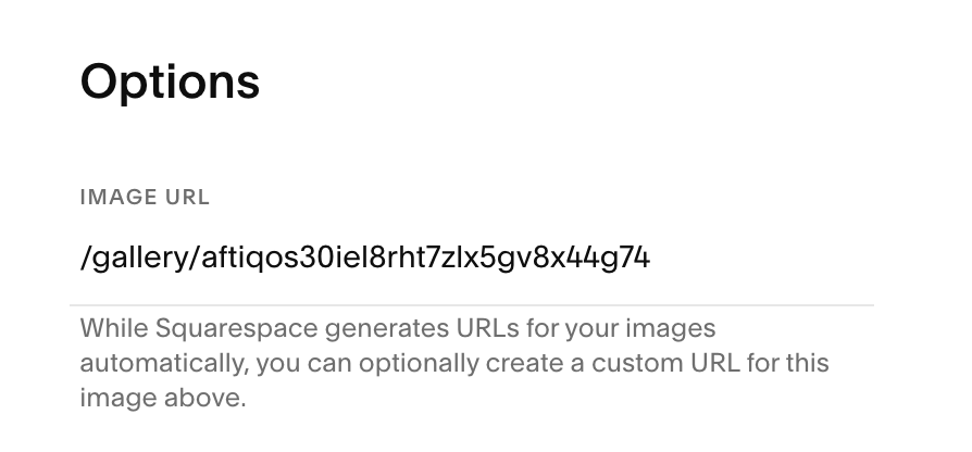 Squarespace가-생성한_URL이_있는_갤러리_이미지.png