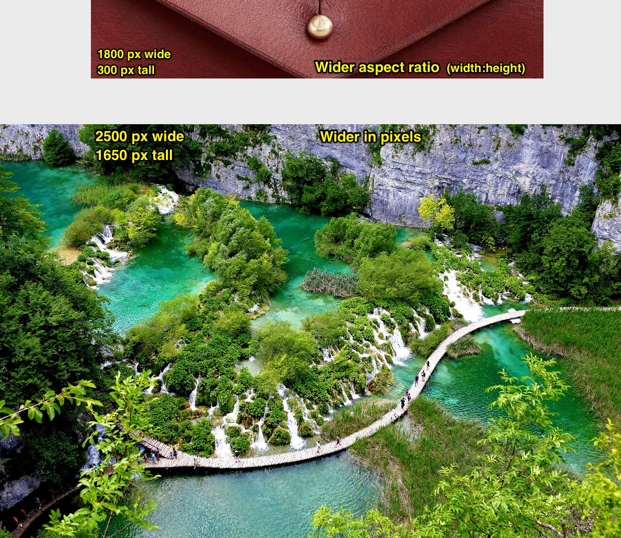 너비 대 높이 비율이 다른 이미지의 비교.