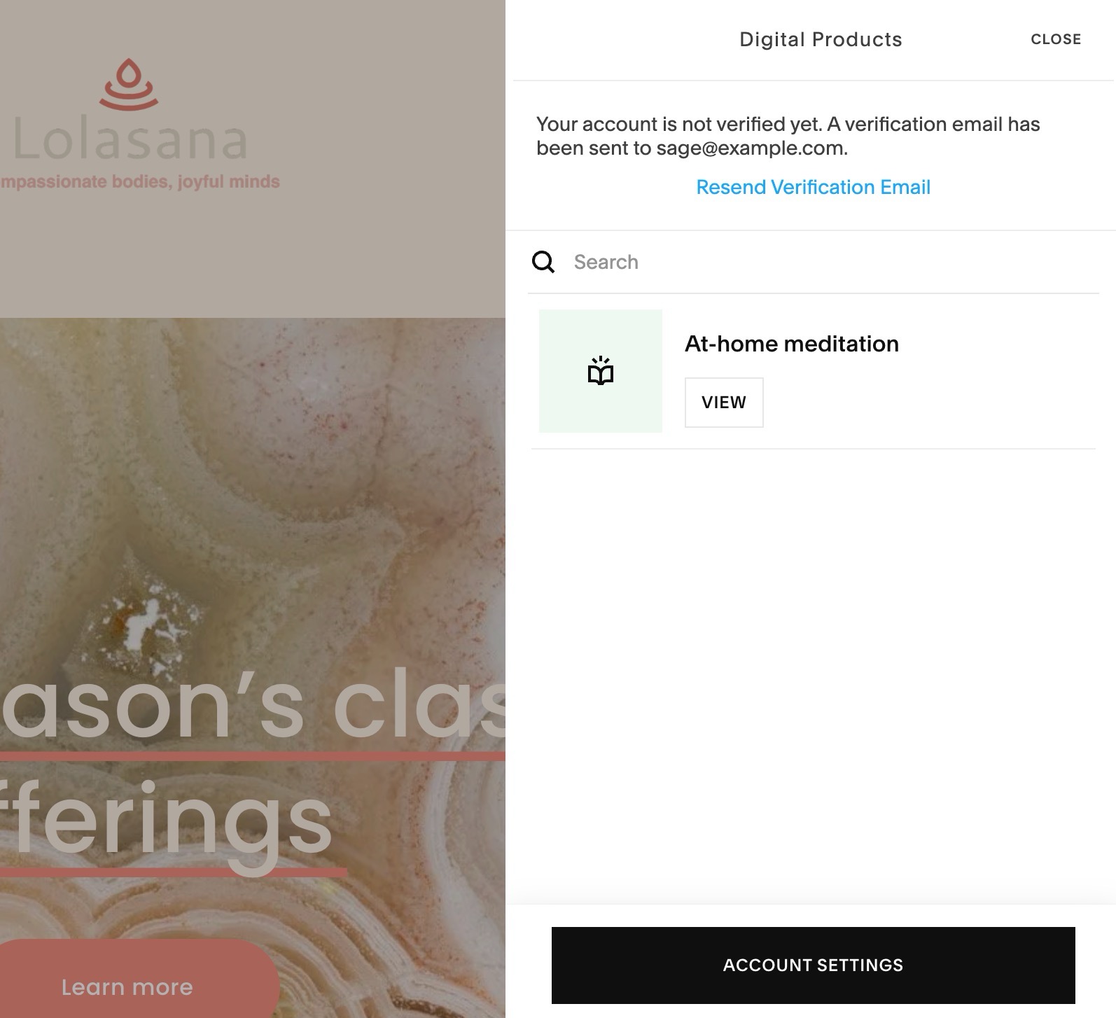 Member account Digital product panel after purchasing a pricing plan.jpg