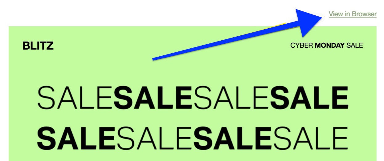 view in browser option highlighted.jpg