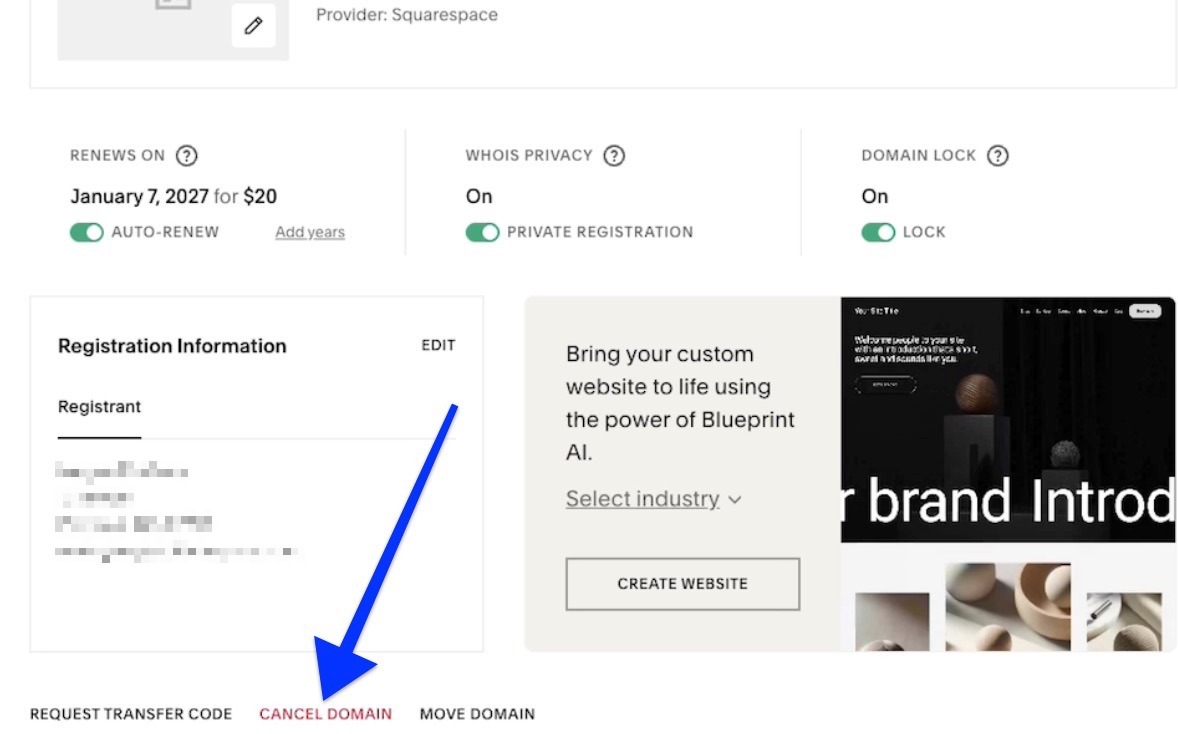 bir ok, Squarespace hesabının panel alan adı genel görünümündeki alan adını iptal et seçeneğini işaret eder